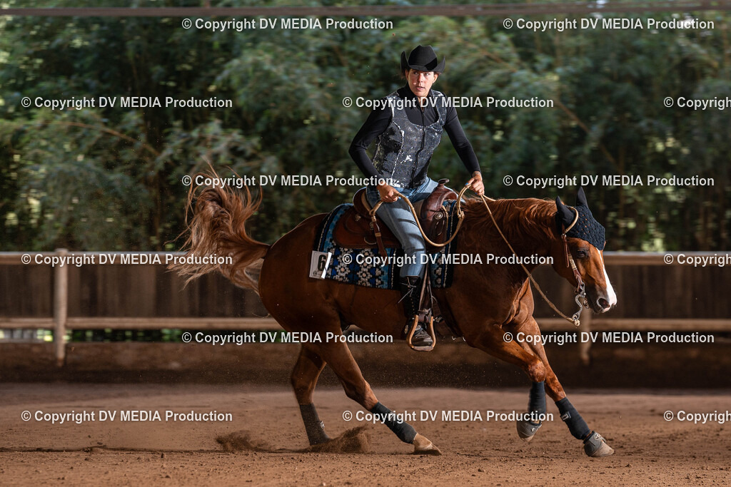 Erbach Tag 2-1003 | dv-media-shop - Realisiert mit Pictrs.com