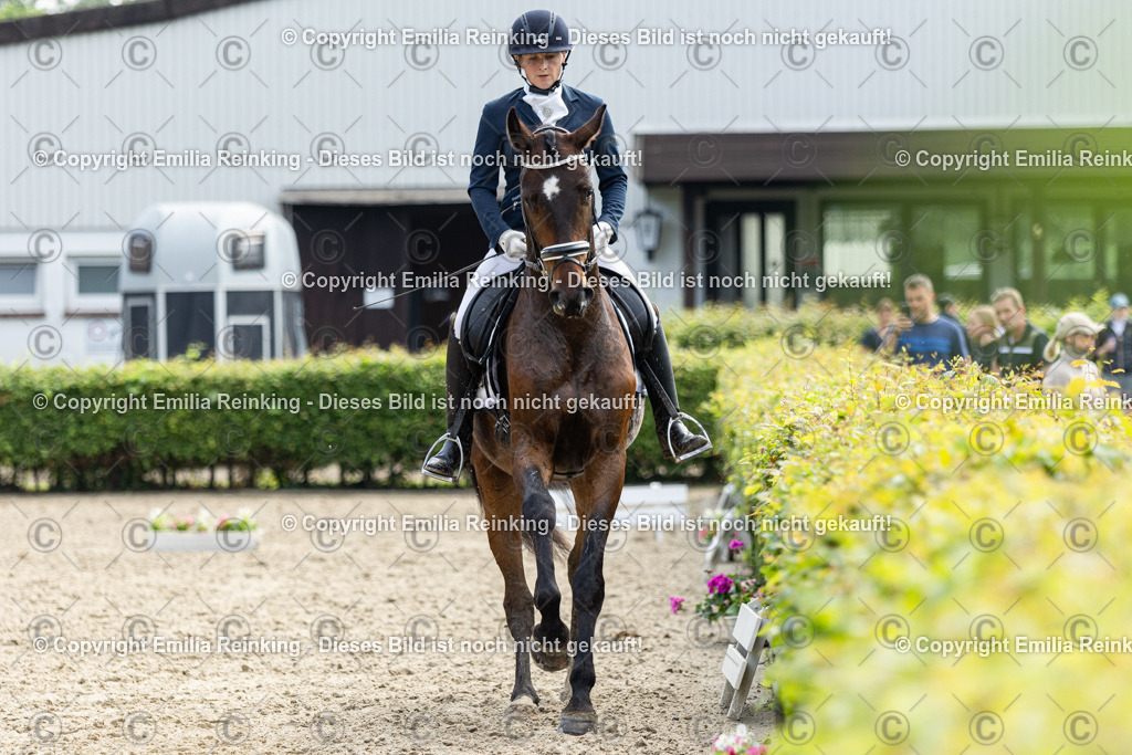 CL5A5409 | Emilia Reinking Fotografie - Realisiert mit Pictrs.com