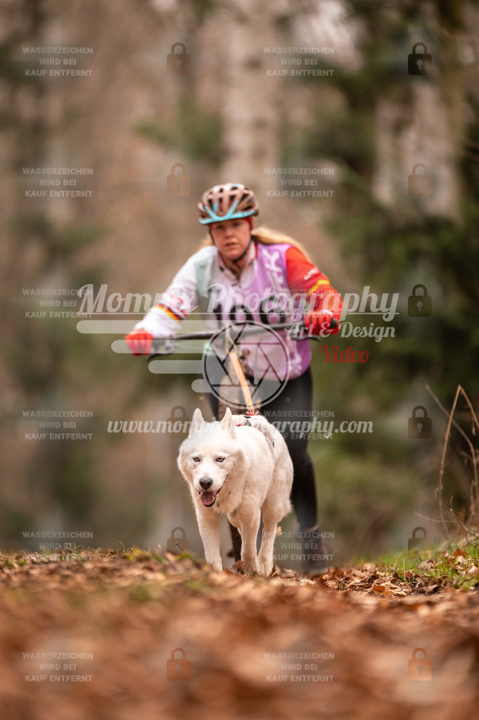 AKM_ST_2023_SAM_Scooter-83 | PayLife