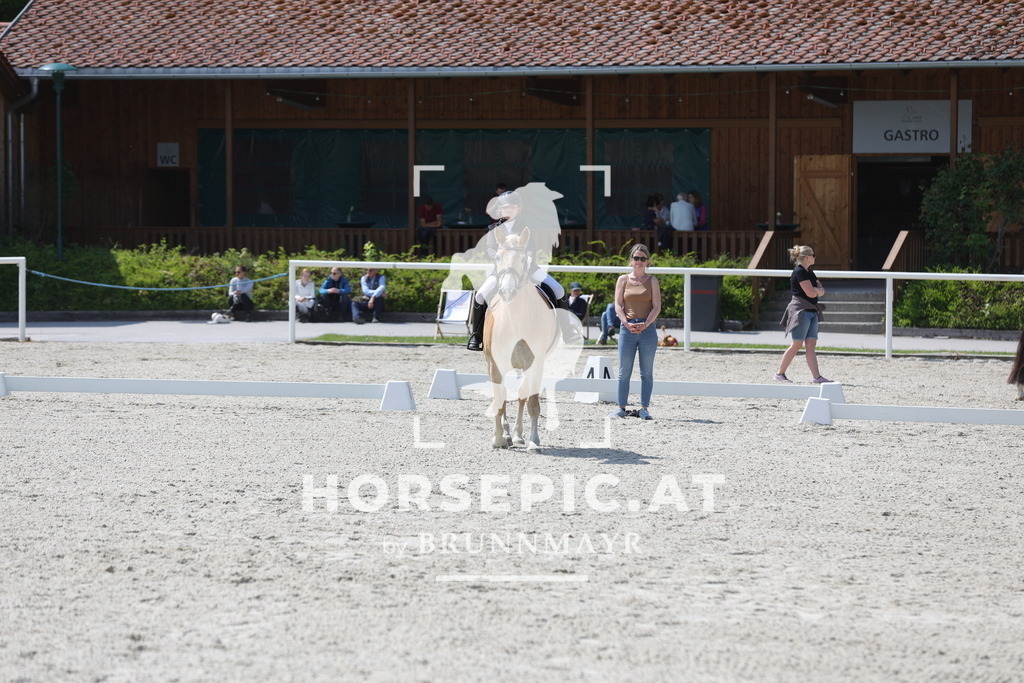 0P6A2083 | Willkommen bei Brunnmayr - Design & Fotografie – Ihrem Spezialisten für Reitturniere und Pferdeveranstaltungen in Oberösterreich, Salzburg und Bayern! Seit über 17 Jahren sind wir leidenschaftlich dabei.