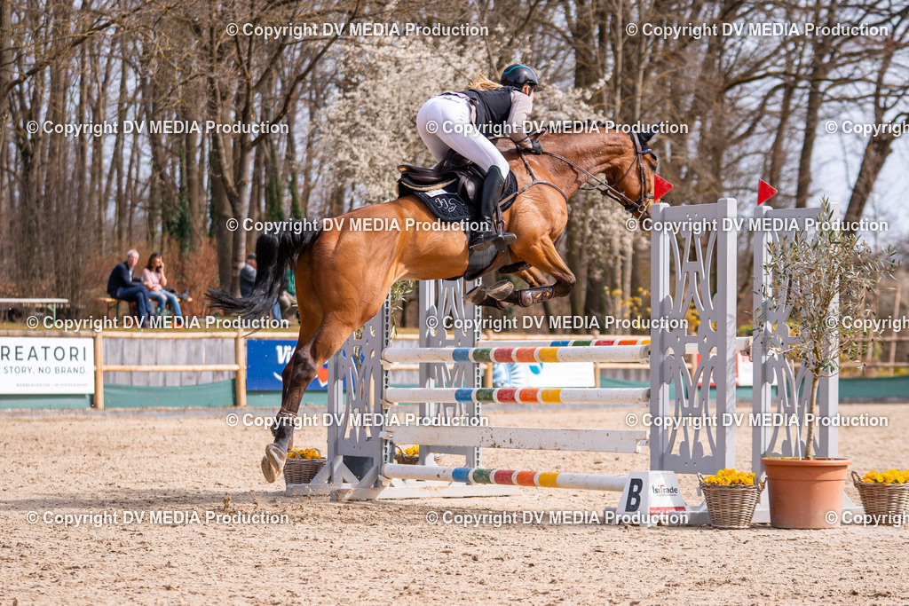 Kranichstein Tag 1-553 | dv-media-shop - Realisiert mit Pictrs.com