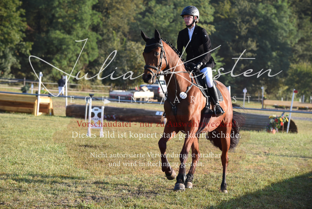 DSC_4823 | Pferde- und Turnierfotografie in Westsachsen. Pferdeportraits, Auftragszeichnungen und intuitive Kunst.