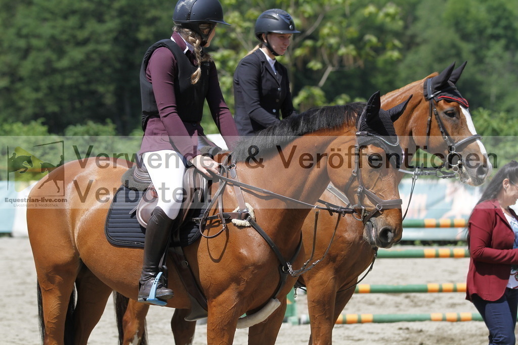_MG_0803 | equestrian-live-com