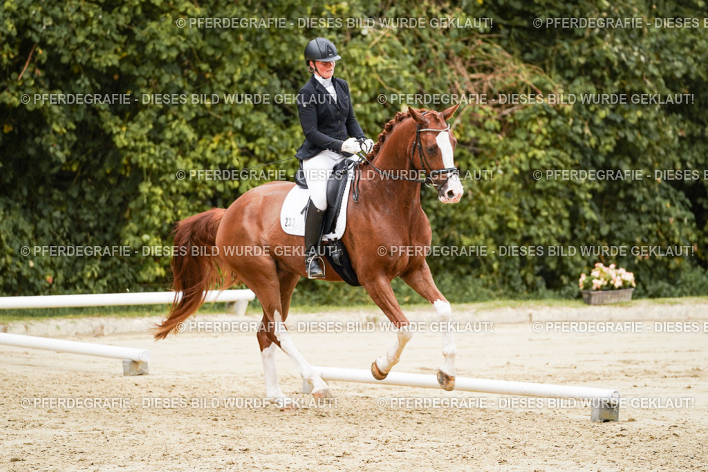 DSC00367 | Pferdegrafie