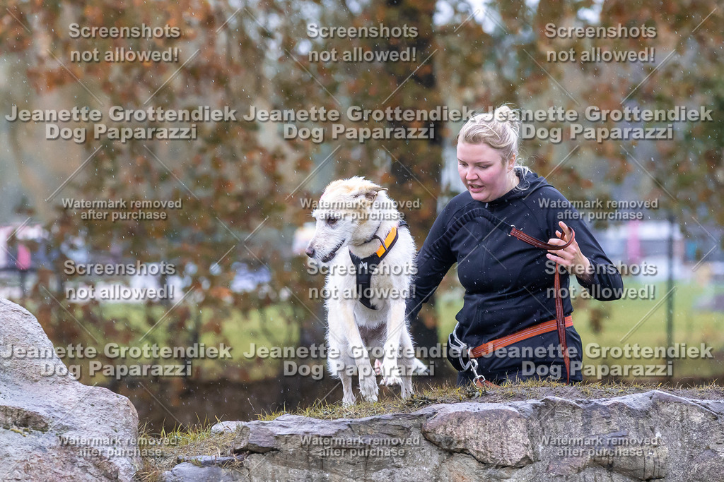 Dog Paparazzi - SD CaniX Championship 2025-741 | Dog Paparazzi Jeanette Grottendiek Fotografie & Videografie - Realisiert mit Pictrs.com