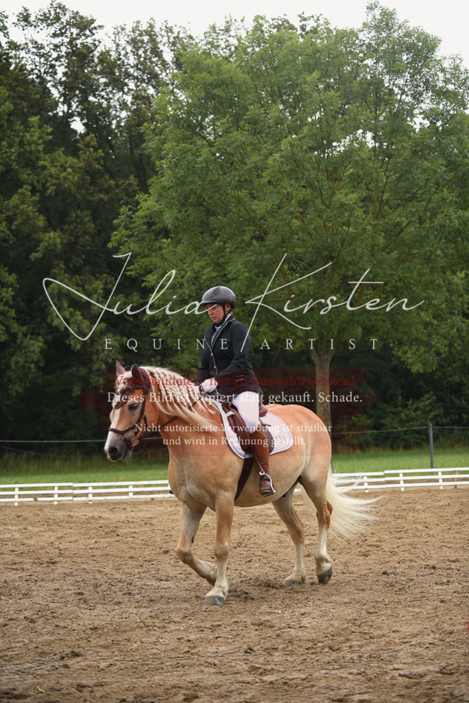 DSC_0116 | Pferde- und Turnierfotografie in Westsachsen. Pferdeportraits, Auftragszeichnungen und intuitive Kunst.