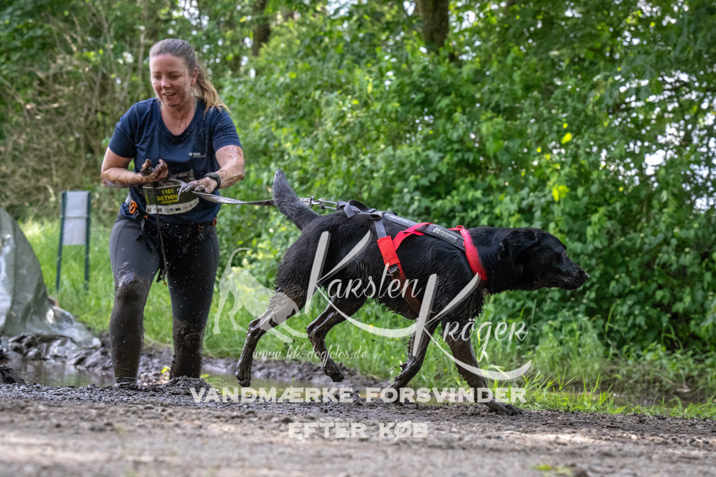 1241_ZZ93150 | kk-dogfotos