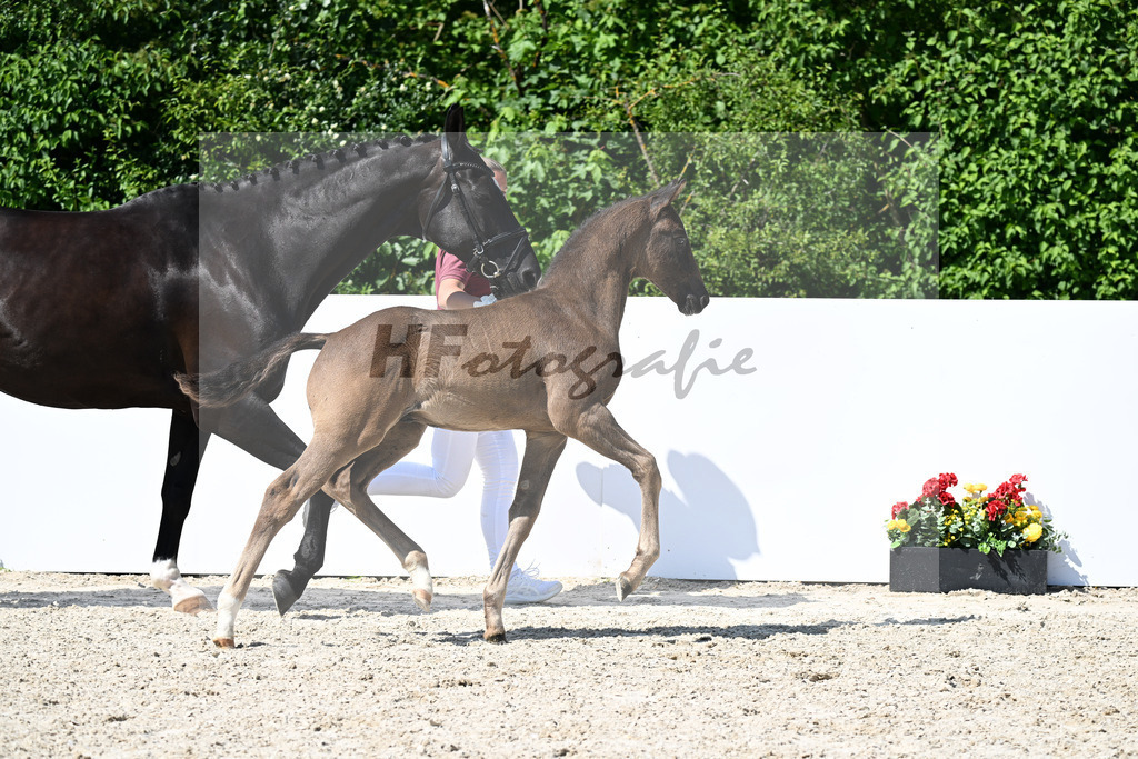 Sane x San Remo_HF_Leeser_13251674 | hf-fotografie - Realizzato con Pictrs.com