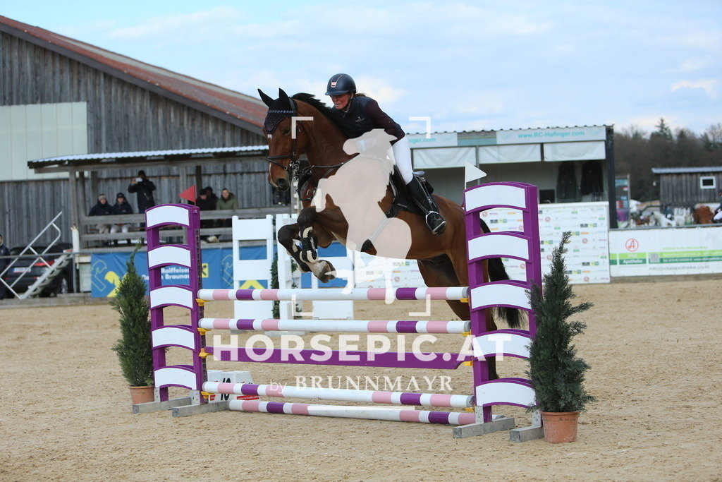 DL2Q0352 | Willkommen bei Brunnmayr - Design & Fotografie – Ihrem Spezialisten für Reitturniere und Pferdeveranstaltungen in Oberösterreich, Salzburg und Bayern! Seit über 17 Jahren sind wir leidenschaftlich dabei.