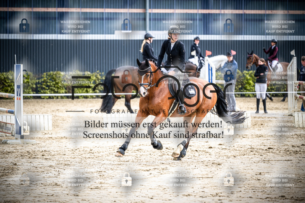 DOS_1756 | Reitturnier Lüdinghausen - Realisiert mit Pictrs.com
