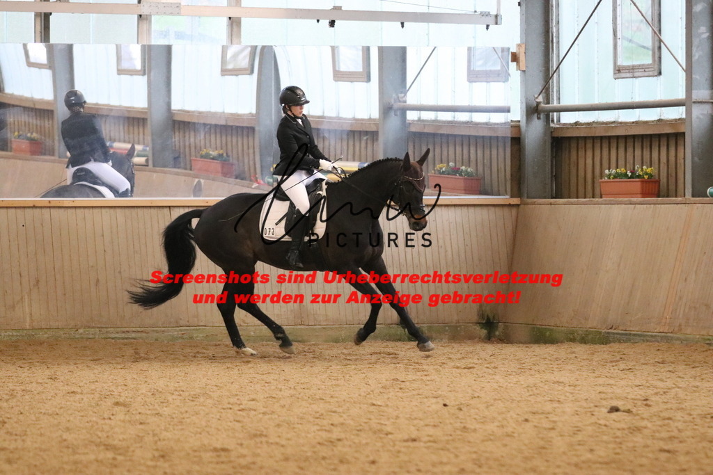 IMG_4179 | lmwpictures - Realisiert mit Pictrs.com