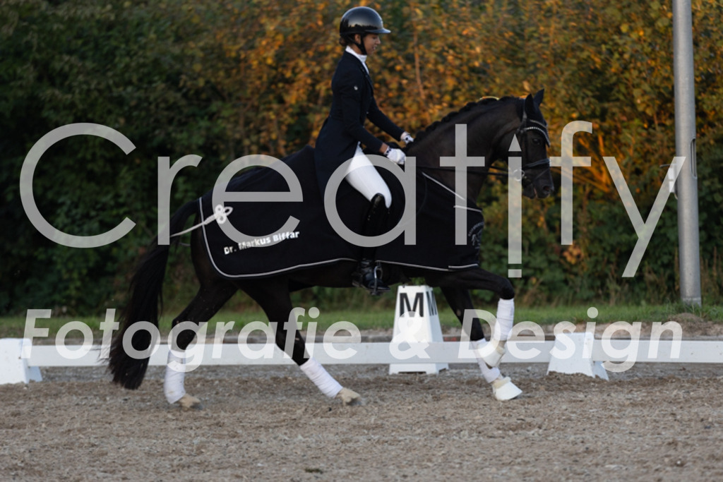 IMG_2009 | Creatify Fotografie