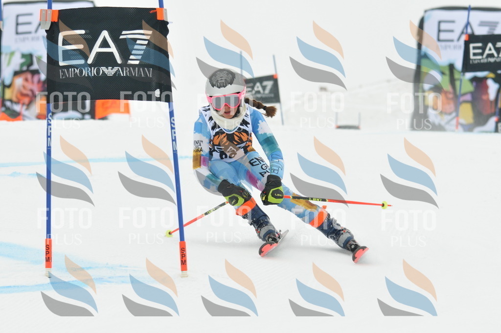 DSC_8044 | holidayphoto