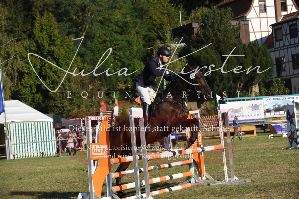 DSC_5117 | Pferde- und Turnierfotografie in Westsachsen. Pferdeportraits, Auftragszeichnungen und intuitive Kunst.