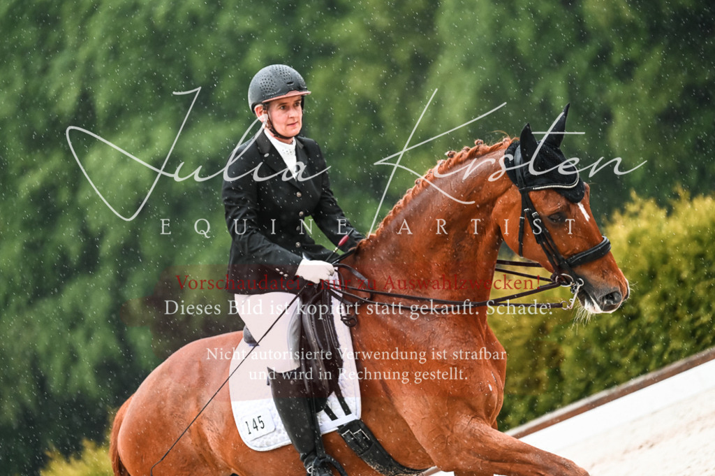 DSC_4446 | Pferde- und Turnierfotografie in Westsachsen. Pferdeportraits, Auftragszeichnungen und intuitive Kunst.