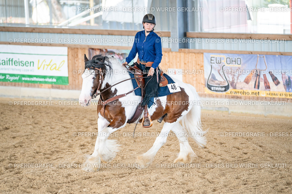 DSC03026 | Pferdegrafie