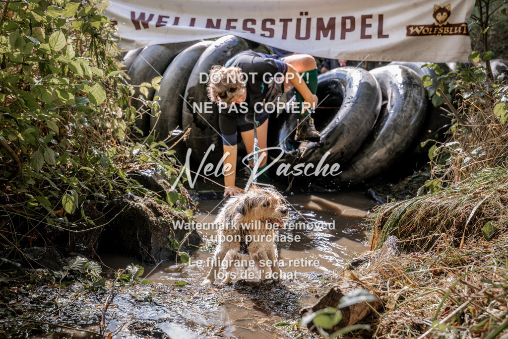 nelerasche_Hunsrück2026_Sa1400-1500_08 | nelerasche
