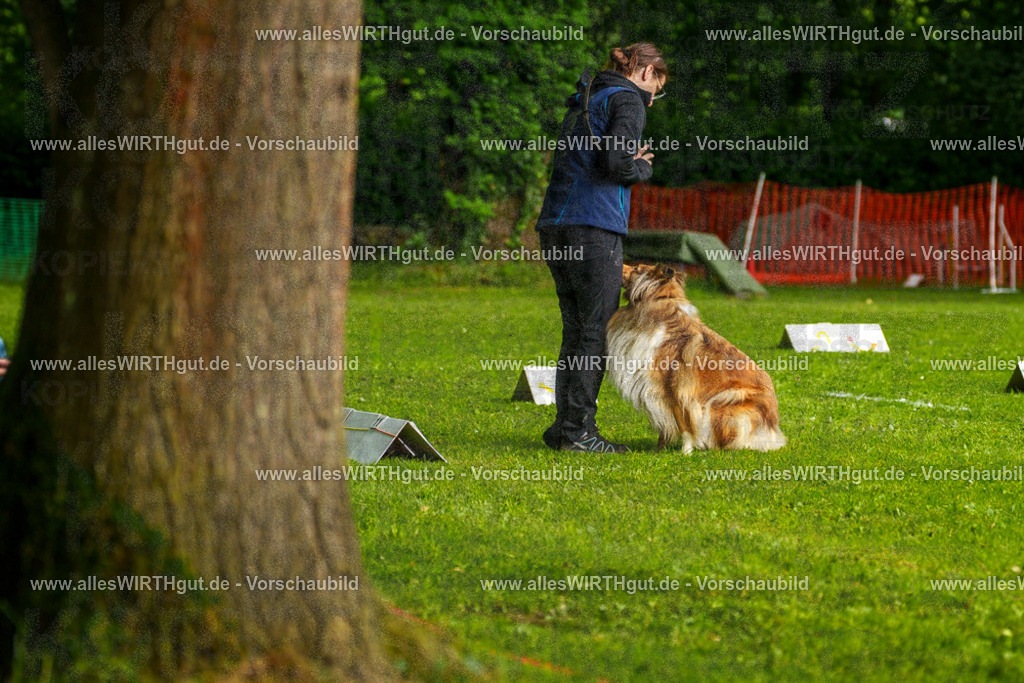 @allesWIRTHgut_Tierfotografie - www.allesWIRTHgut.de - 7R503002 | Professionelle Tierfotografie in Mönchengladbach von Daniel Wirth (allesWIRTHgut). Liebevolle & natürliche Bilder von Hunden & Katzen für unvergessliche Erinnerungen.
