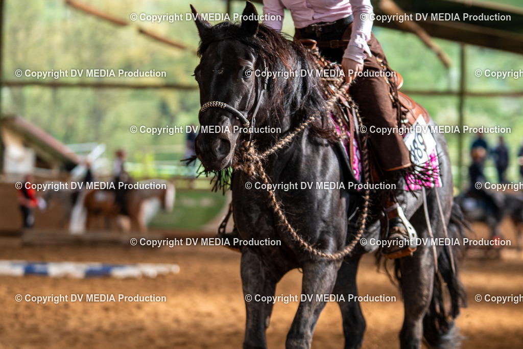 Balingen Tag 4-1028 | dv-media-shop - Realisiert mit Pictrs.com