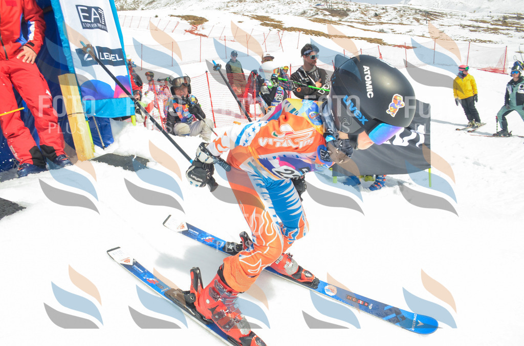 _ELE7184 | holidayphoto