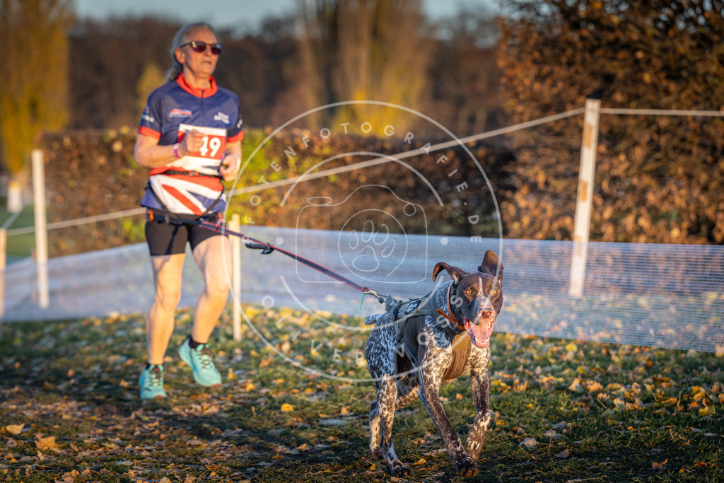 CaniXpix_DV3A5577 | Hundefotografie, Tierfotograf, Pfotenfotografie, Fotoshooting Hund, Hunde Portrait, Hundesport, Hundeportraits, Heideshooting, Hunde, Sportfotograf, Hundefotograf, Turnierhundsport, THS,  - Realisiert mit Pictrs.com