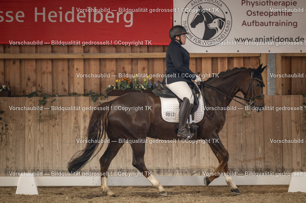 _D5A8989 | Emotionale Pferde- & People-Fotografie rund um Heidelberg, Leimen & Umgebung. Natürliche Fotos von Pferd, Mensch & Familie. Jetzt Termin sichern!