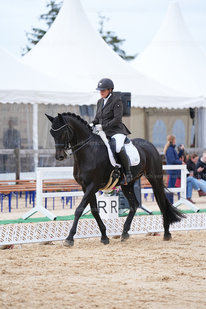 04_2-214-Dressur M__ -Marixx-3062 | working equitationturnier fotograf videograf stoibphotography marixx film working equitation deutschland reitsport turnierfotografie eventfotografie equestrian events