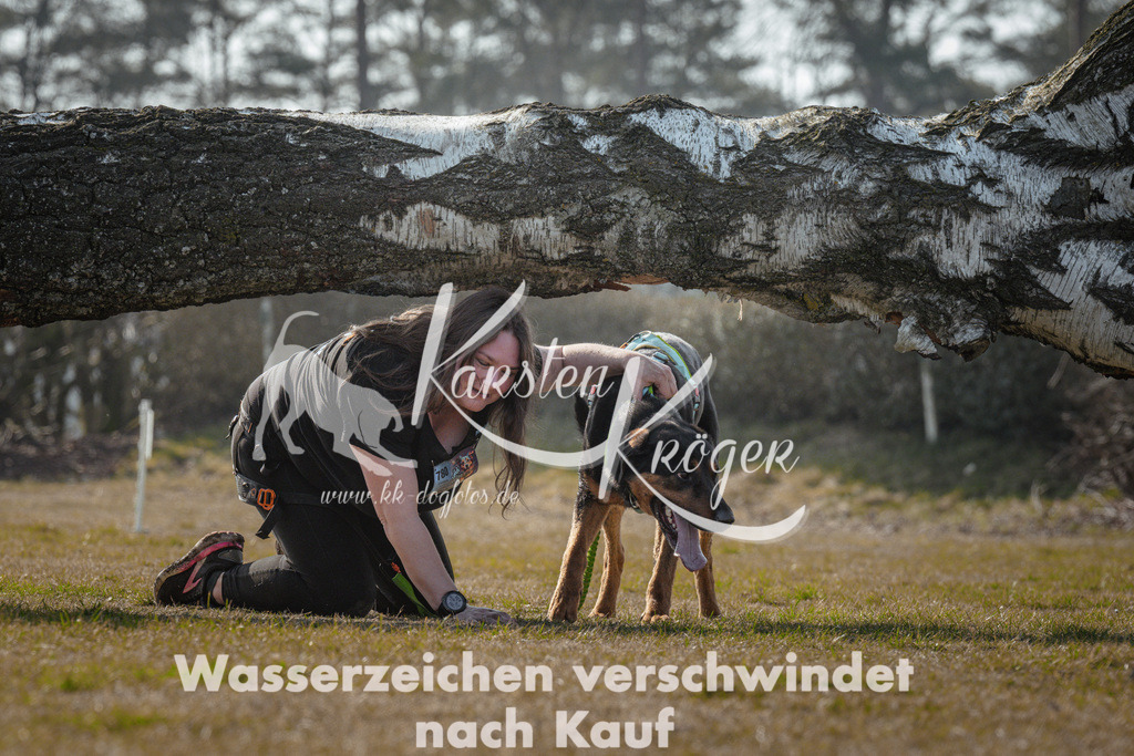 1106_ZZ94521 | kk-dogfotos