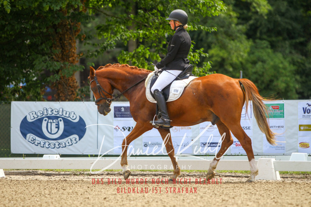 DKP42392 | Turniersportfotografie; Pferdefotografie; Dressurfotografie