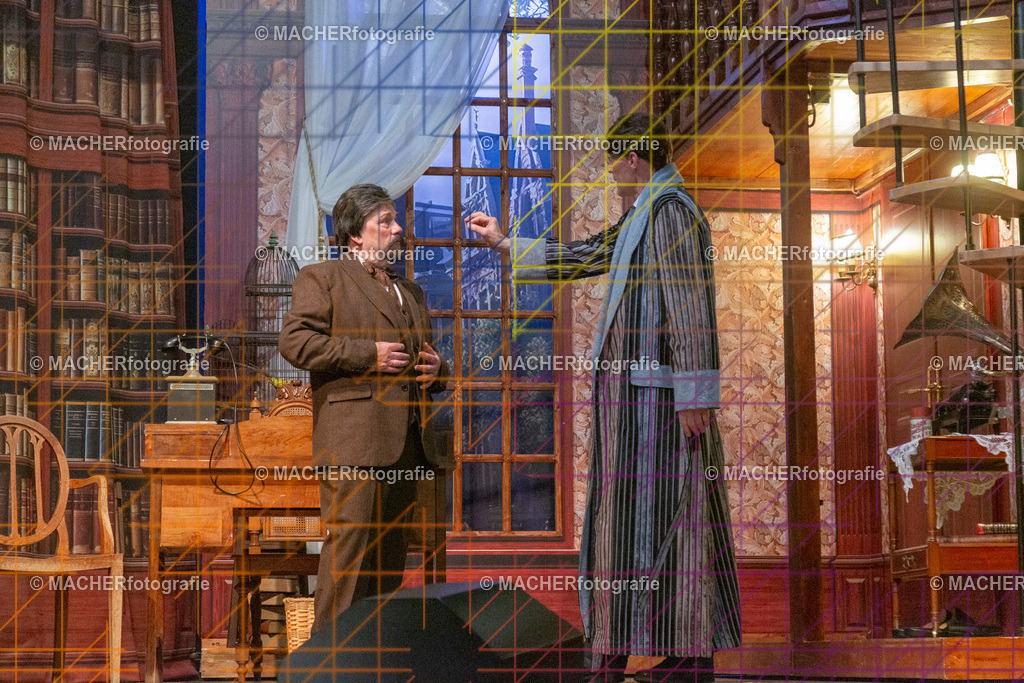 377_MFL-2025 | Portraitbilder von Regisseur; Darsteller; Techniker; Maske; Kostüme; Chor; Musiker; Bilderserie der Generalprobe und der Premierenvorstellung, Szenenbilder; Ausdrucksstudien; Bühnenüberblick; Bühnenkulissen; Pressefotos inkl. Redaktionsfoto Darstellergruppe.