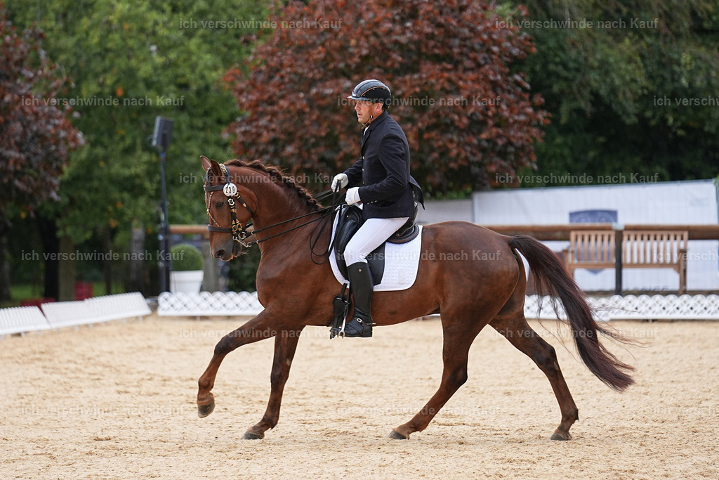 3-239-Dressur M_-Marixx-1932 | working equitationturnier fotograf videograf stoibphotography marixx film working equitation deutschland reitsport turnierfotografie eventfotografie equestrian events