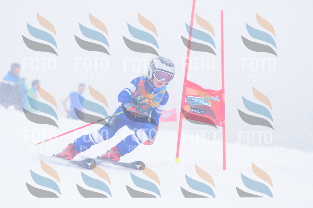 C2177 | holidayphoto