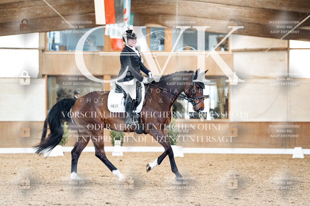 CK909424 | Turnierfotografie Pferdefotografie Trier Rheinland-Pfalz Pferdesport Reitsport Tierfotografie Sportfotografie Pferdevideo Pferdevideografie Equestrianvideography equestrianphotography  - Realisiert mit Pictrs.com