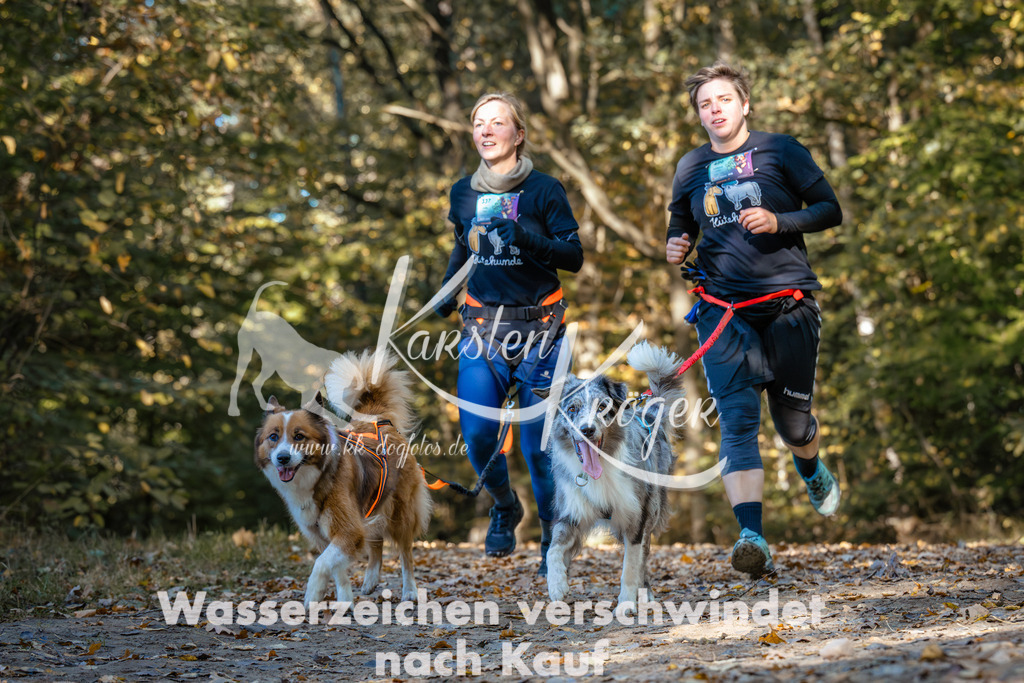 1129_ZZ92581-Bearbeitet | kk-dogfotos