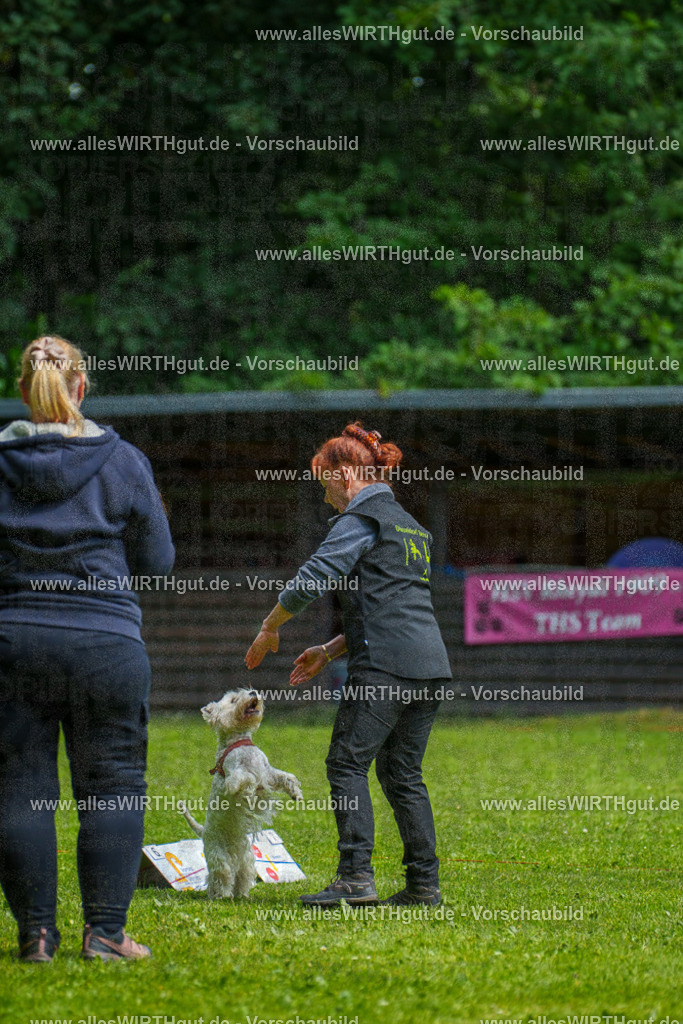 @allesWIRTHgut_Tierfotografie - www.allesWIRTHgut.de - 7R503803 | Professionelle Tierfotografie in Mönchengladbach von Daniel Wirth (allesWIRTHgut). Liebevolle & natürliche Bilder von Hunden & Katzen für unvergessliche Erinnerungen.