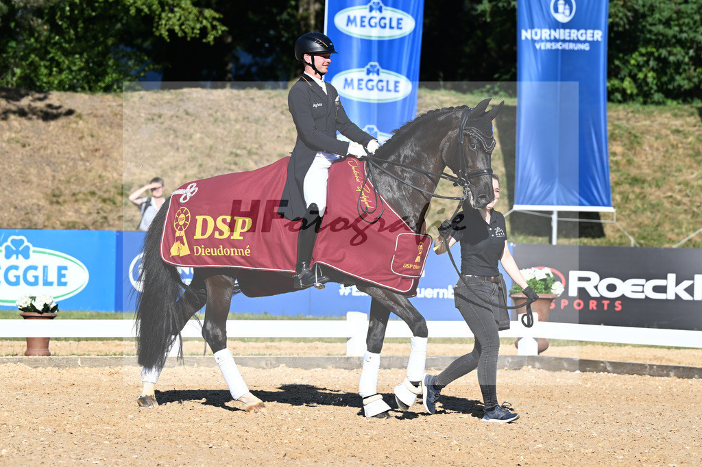 Netz_DSP Dieudonne_11254046 | hf-fotografie - Realisiert mit Pictrs.com