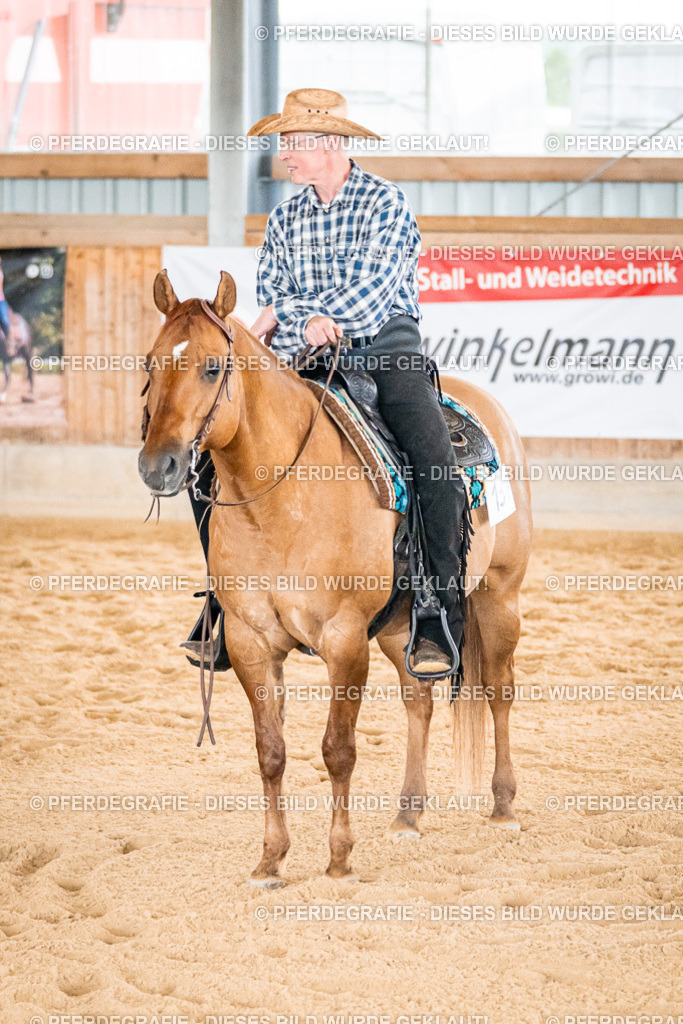 DSC01084 | Pferdegrafie