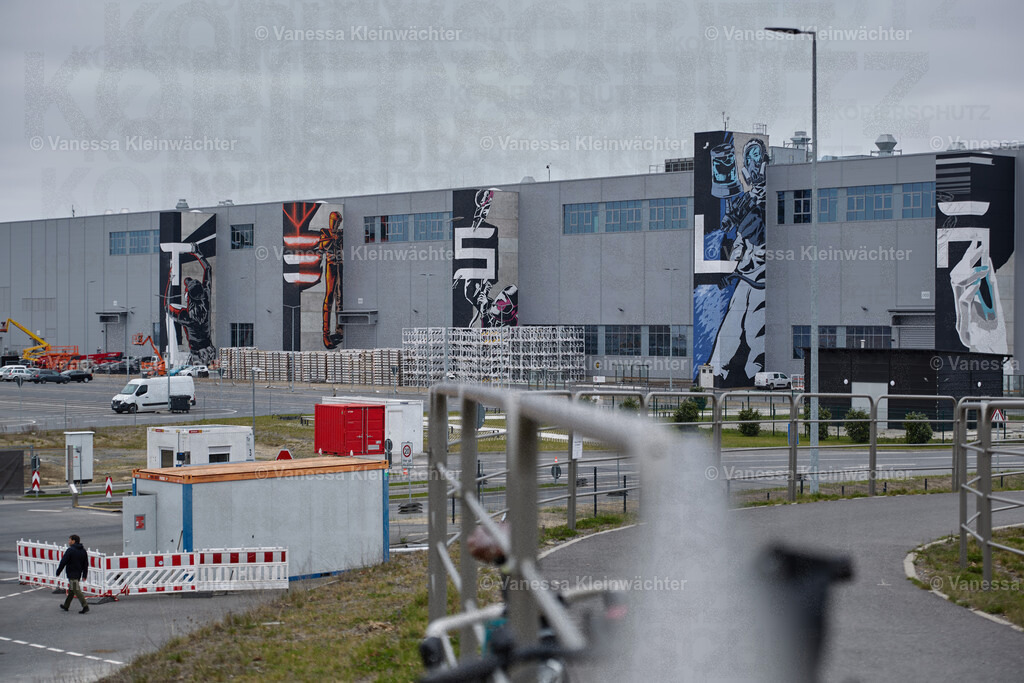 250412_TeslaWaldspaziergang_00004 | Vanessa Kleinwächter - Realisiert mit Pictrs.com