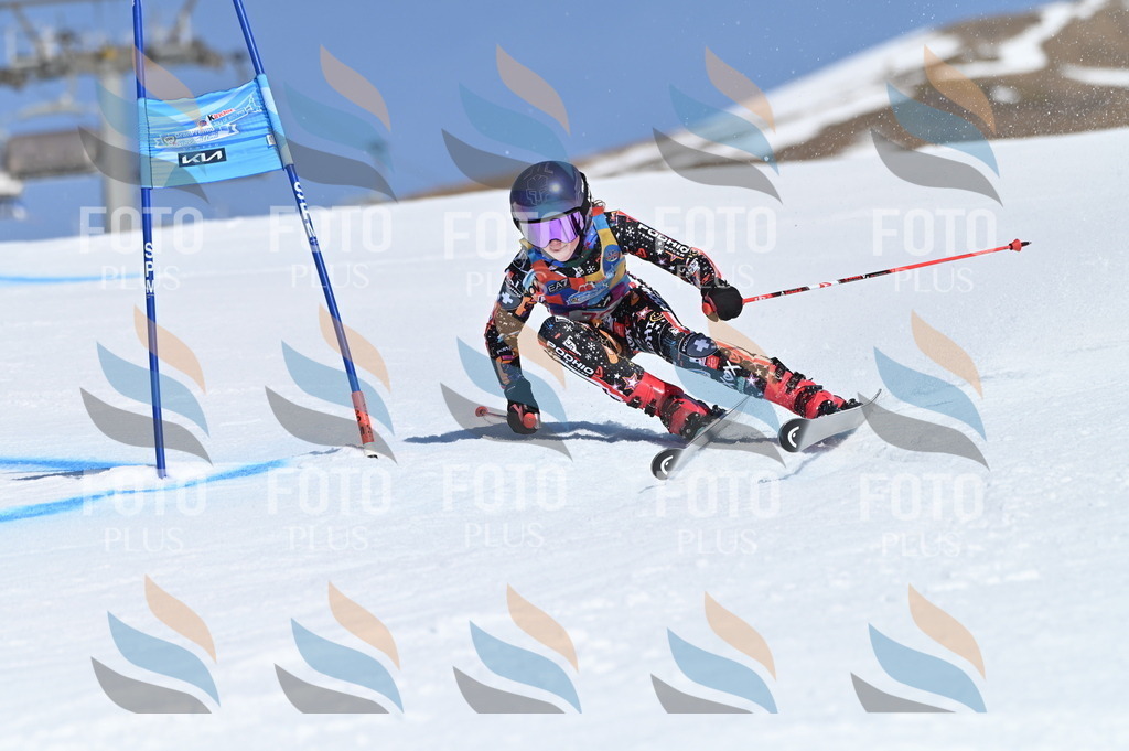 BGV_8961 | holidayphoto