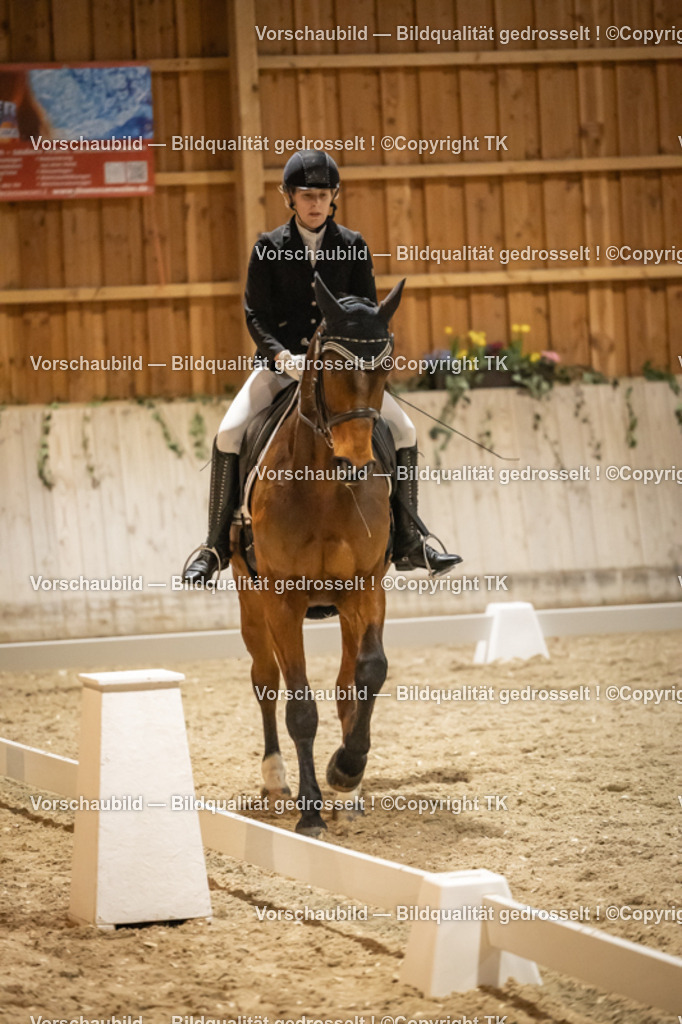 _D5A0608 | Emotionale Pferde- & People-Fotografie rund um Heidelberg, Leimen & Umgebung. Natürliche Fotos von Pferd, Mensch & Familie. Jetzt Termin sichern!