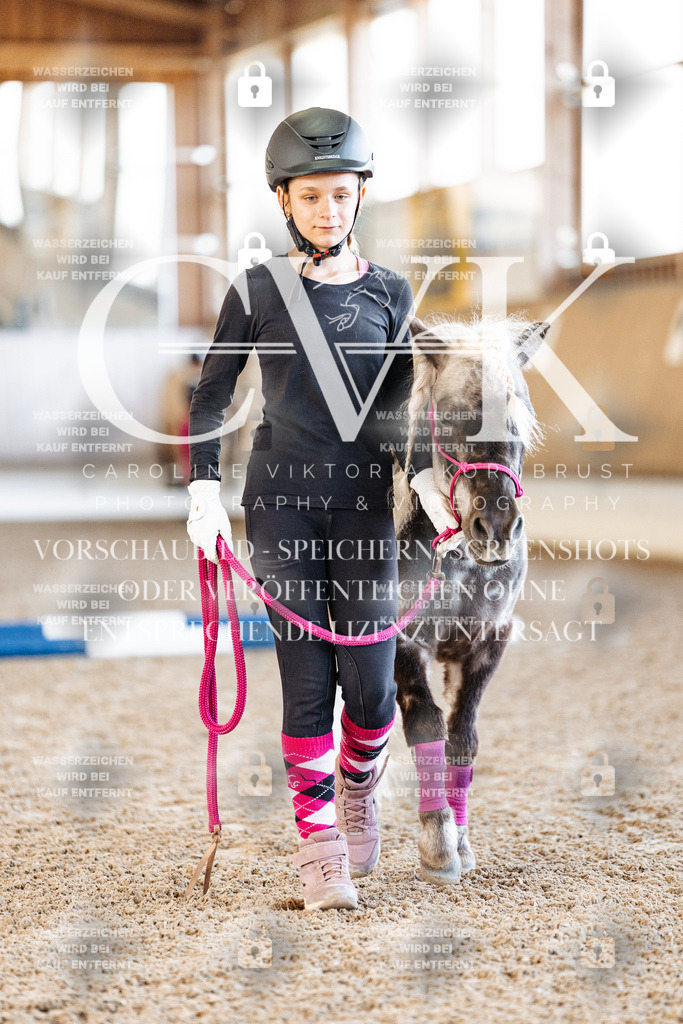 CK905323 | Turnierfotografie Pferdefotografie Trier Rheinland-Pfalz Pferdesport Reitsport Tierfotografie Sportfotografie Pferdevideo Pferdevideografie Equestrianvideography equestrianphotography  - Realisiert mit Pictrs.com