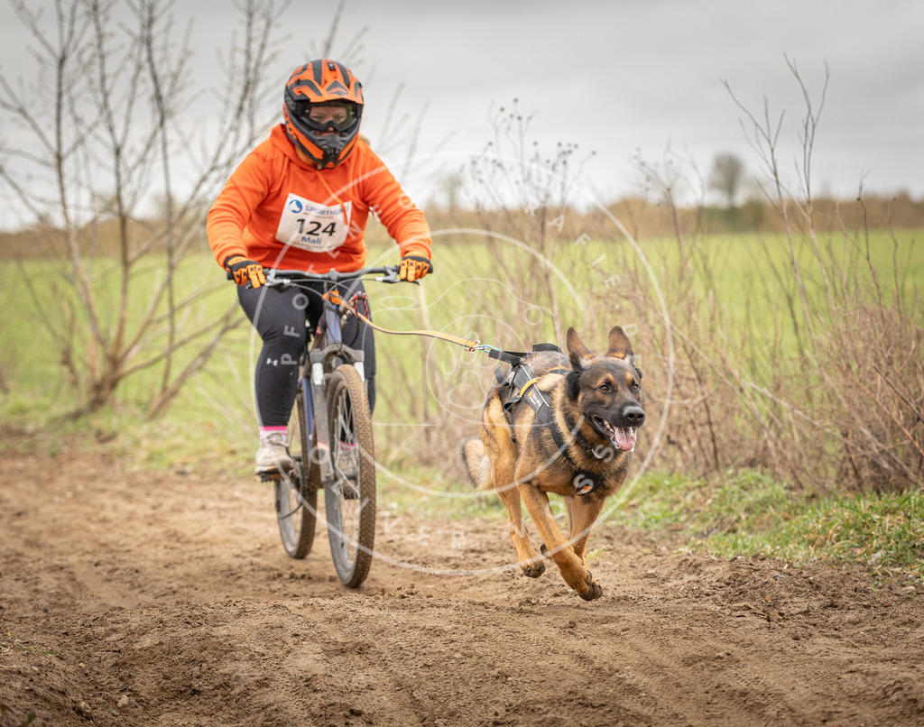 DV3A1051 | Hundefotografie, Tierfotograf, Pfotenfotografie, Fotoshooting Hund, Hunde Portrait, Hundesport, Hundeportraits, Heideshooting, Hunde, Sportfotograf, Hundefotograf, Turnierhundsport, THS,  - Realisiert mit Pictrs.com