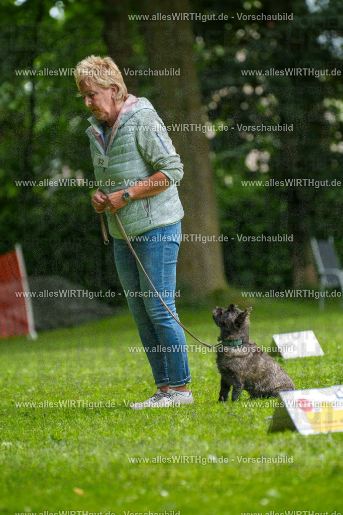 @allesWIRTHgut_Tierfotografie - www.allesWIRTHgut.de - 7R504471 | Professionelle Tierfotografie in Mönchengladbach von Daniel Wirth (allesWIRTHgut). Liebevolle & natürliche Bilder von Hunden & Katzen für unvergessliche Erinnerungen.