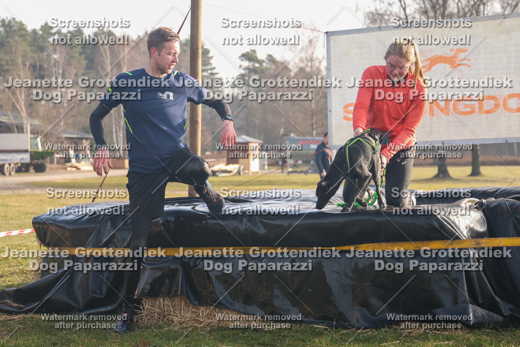 Dog Paparazzi - SD North 0326 900930-84 | Dog Paparazzi Jeanette Grottendiek Fotografie & Videografie - Realisiert mit Pictrs.com
