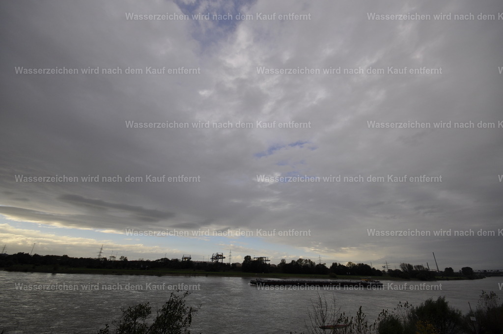 Rheinschiff | Schiff - Realisiert mit Pictrs.com