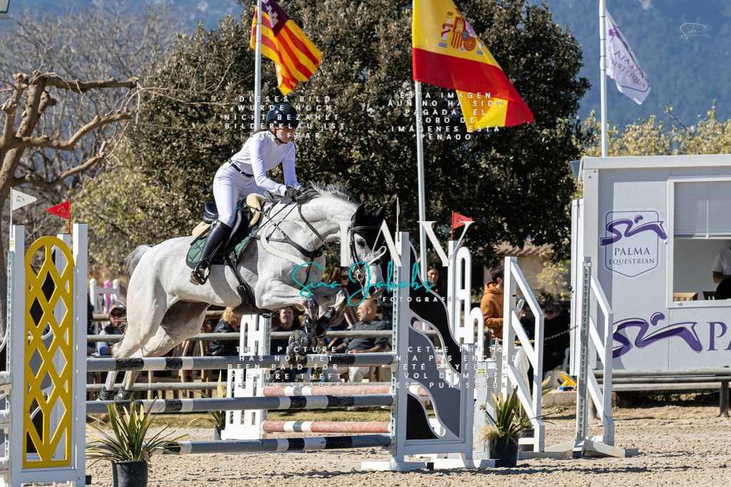 IMG_9830 | s-jay-photography - Realisiert mit Pictrs.com