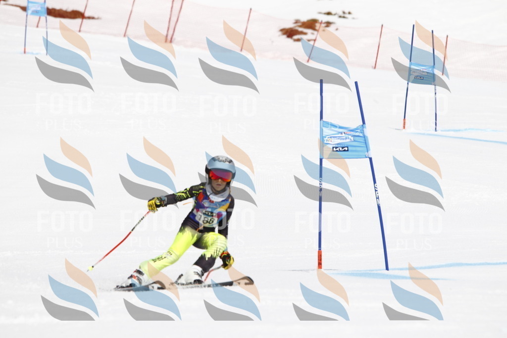 _U3G4927 | holidayphoto