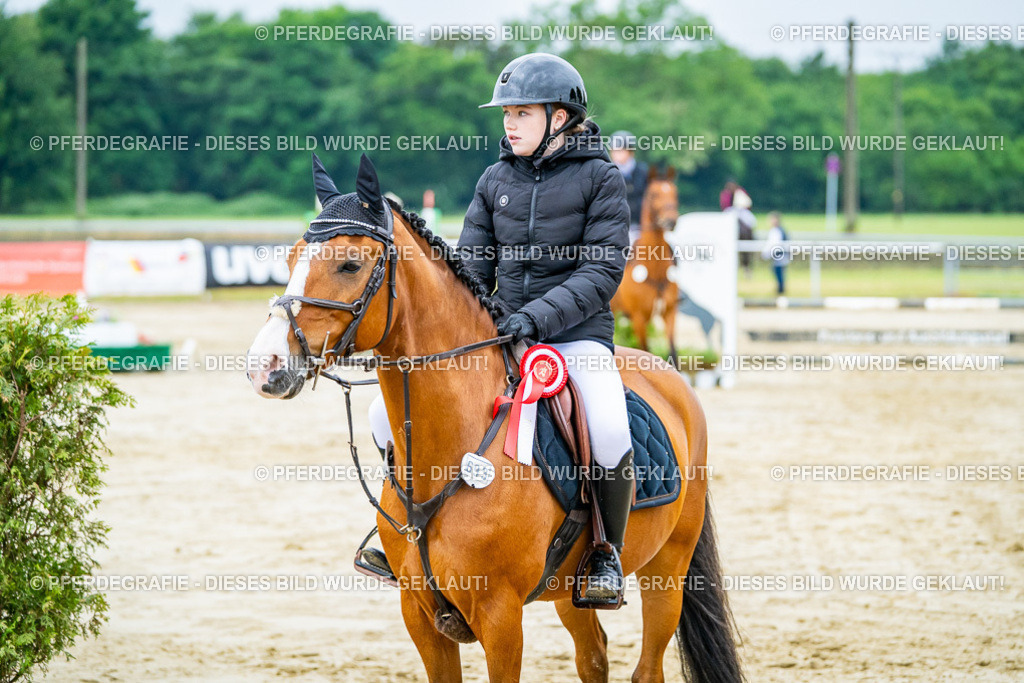 DSC02825 | Pferdegrafie