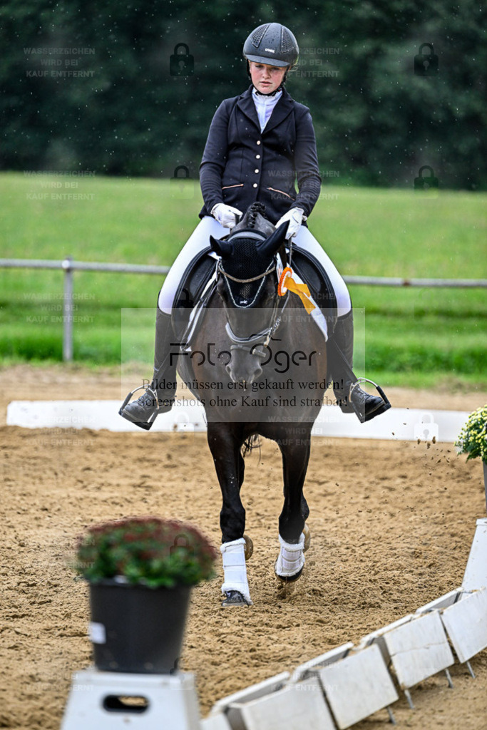 Reitturnier Hasbergen | Entdecke hochwertige Reitturnierfotos von Foto Oger. Professionell, emotional und authentisch – jetzt Lieblingsmomente im Shop bestellen. - Realisiert mit Pictrs.com