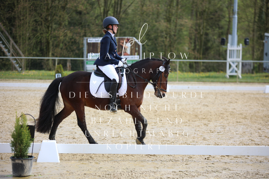 IMGT5098 | pl-fotografie